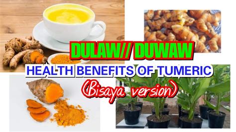 dulaw plant